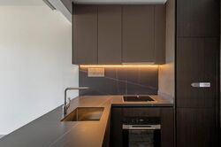 Hyll On Holland (D10), Condominium #483926001